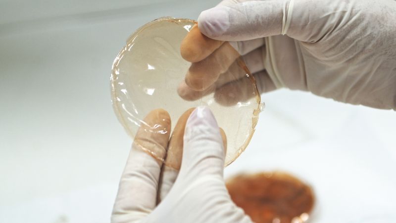 ITP has developed an innovative material for wound healing using Barbatimão.